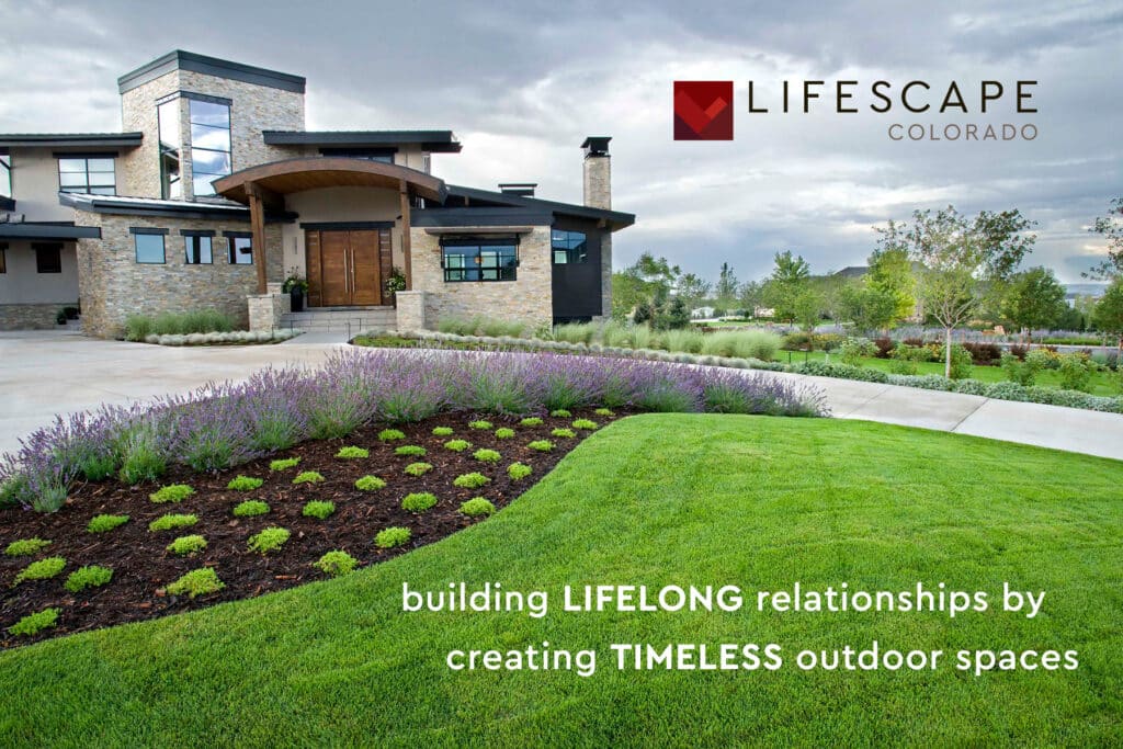 modern house features lavender garden beds