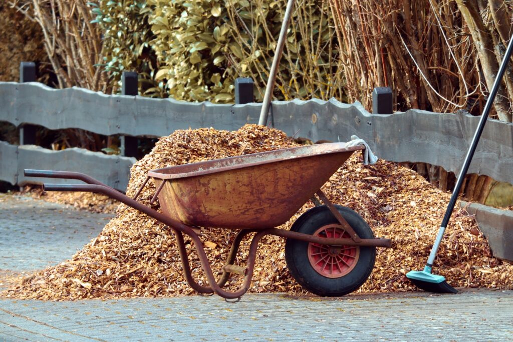 rusty wheelbarrow sits by wood chips