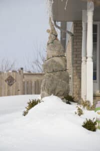 burlap wraps tree against snow