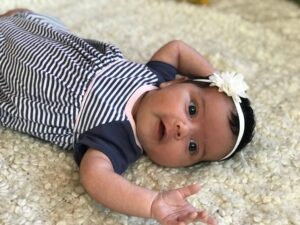 berkeley rose bala