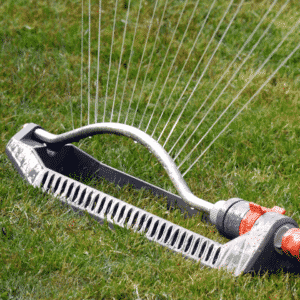 oscillating sprinkler waters green lawn