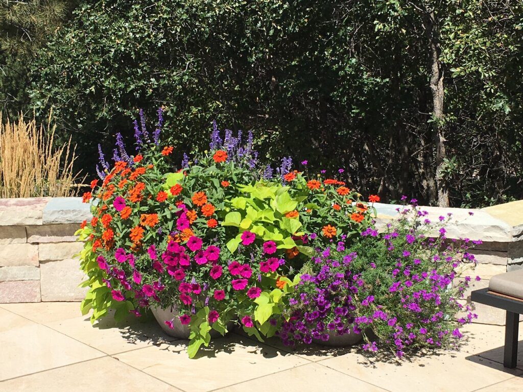 vibrant flowers fill stone patio planters
