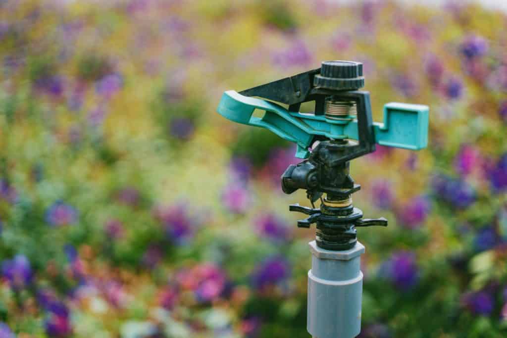 water sprinkler sprays a lush garden