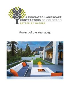 project of the year 2015