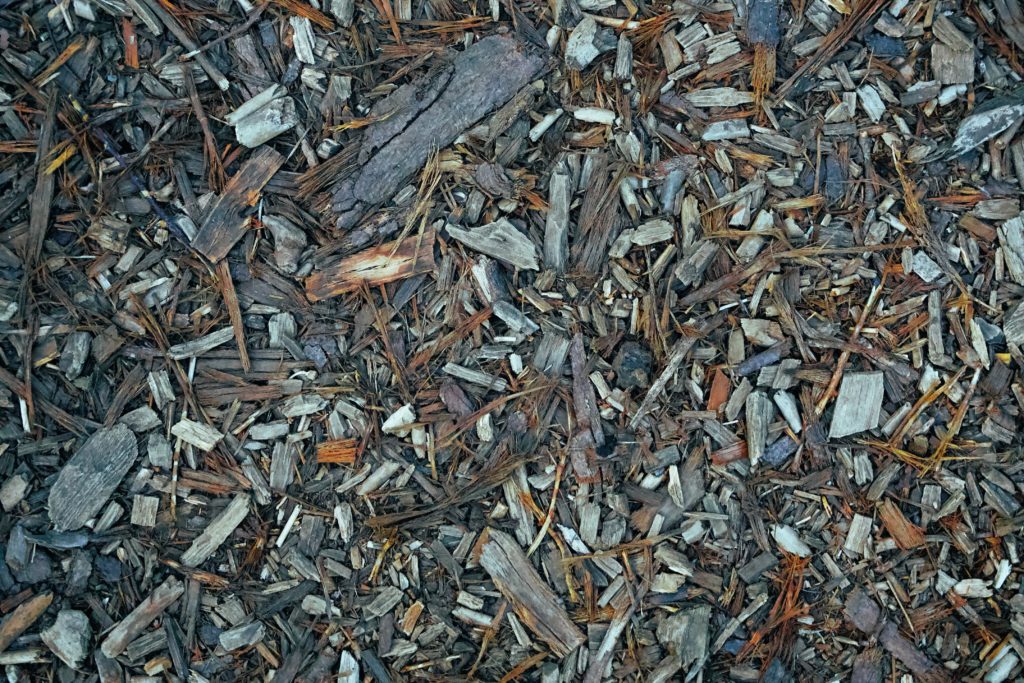 wood mulch pieces covering the ground