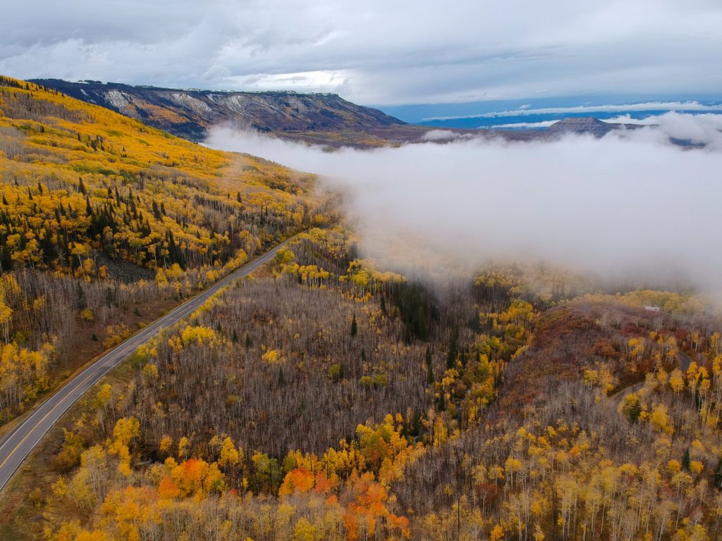 fog settles over golden autumn mountainside