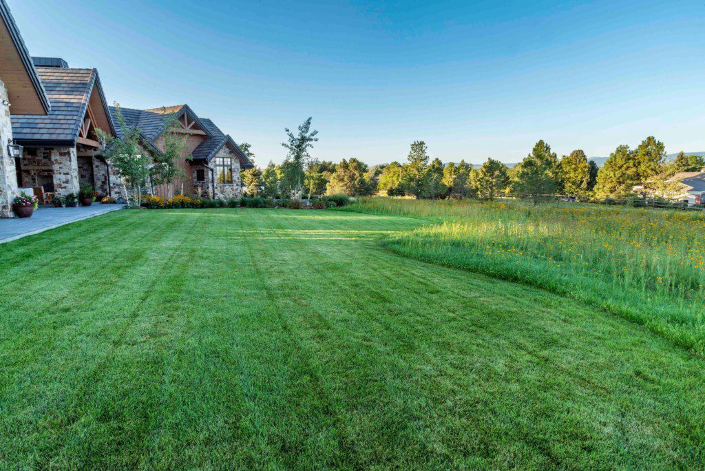 vast green lawn beside house