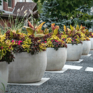 many large planters line path