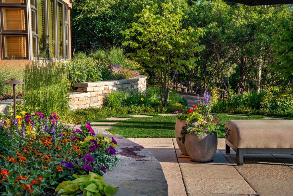 colorful flowers in a garden