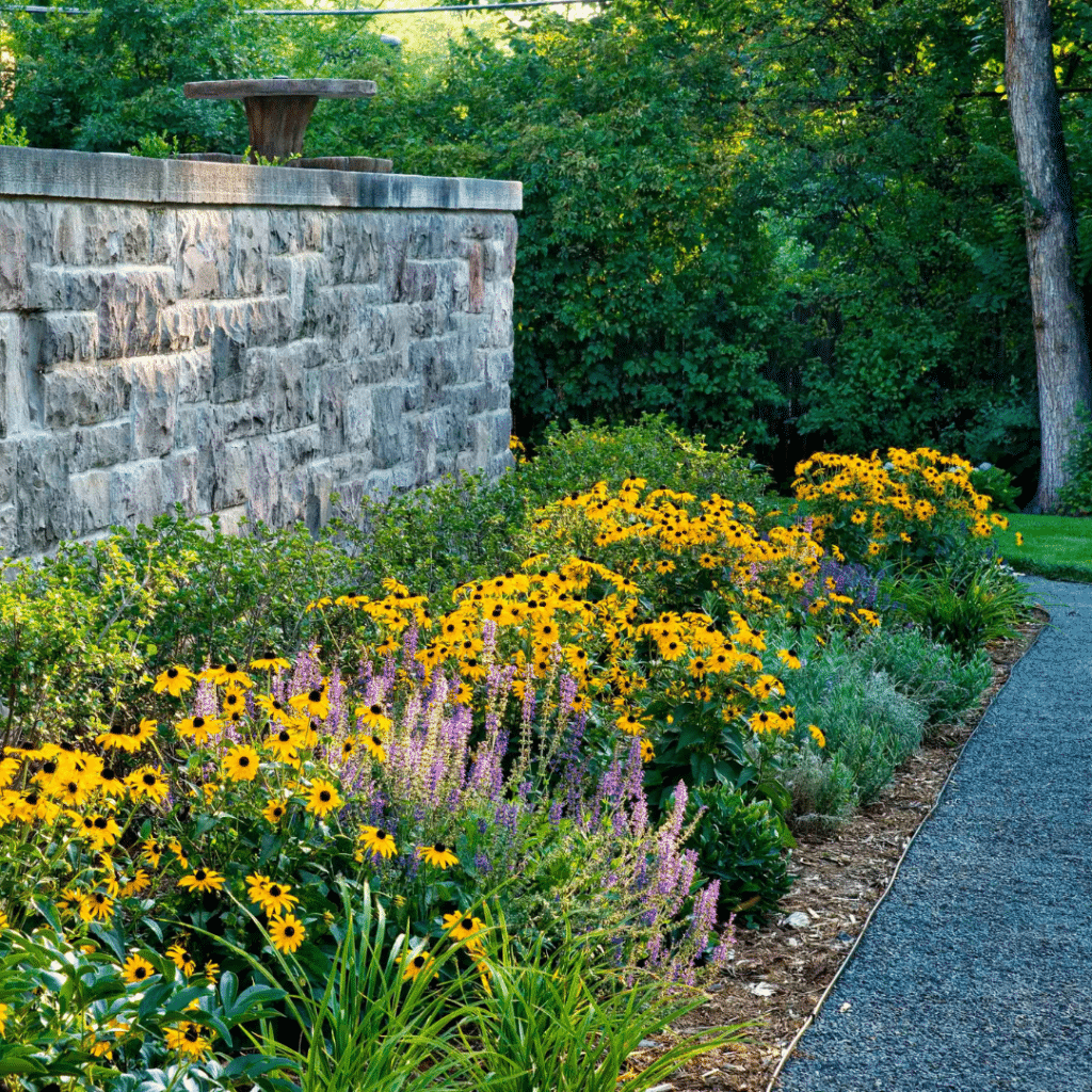 grasses and herbaceous perennials