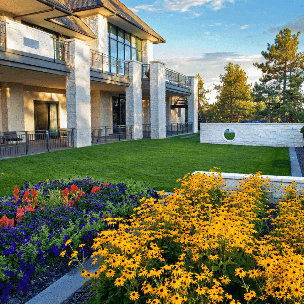 spring lawn renovation
