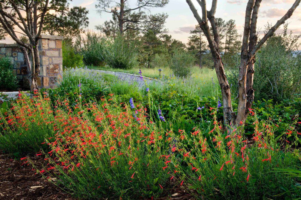 irrigation matters