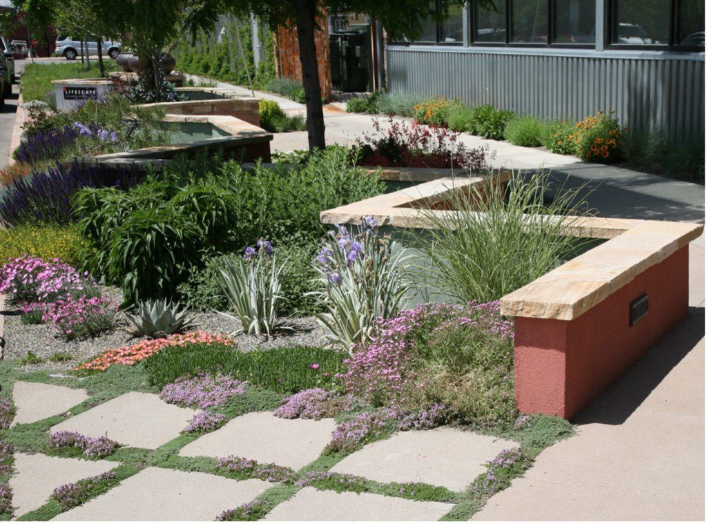 various flowers in rock garden