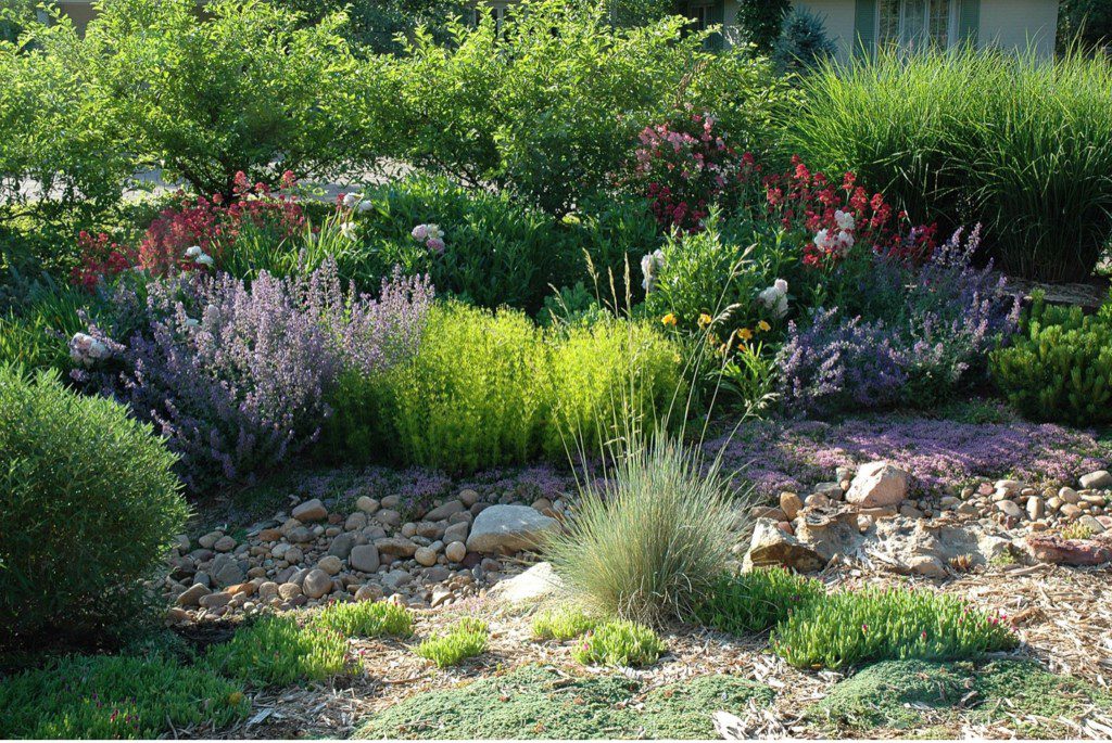 various flowers in rock garden