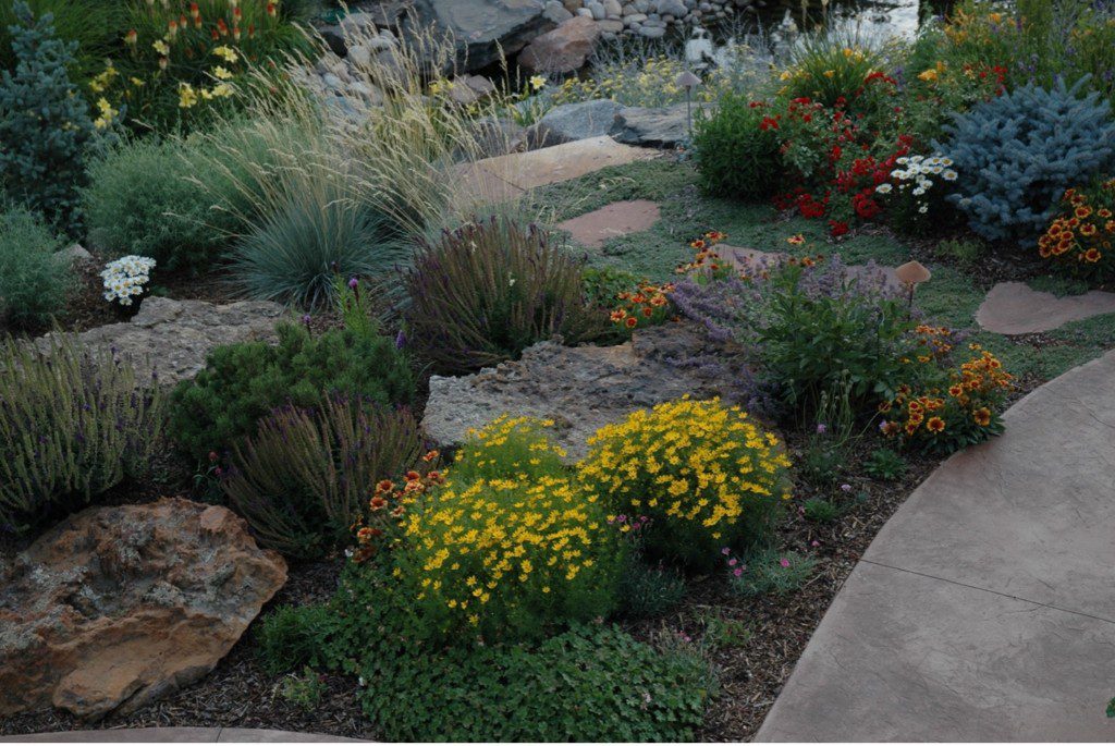 bright yellow flowers near stone path