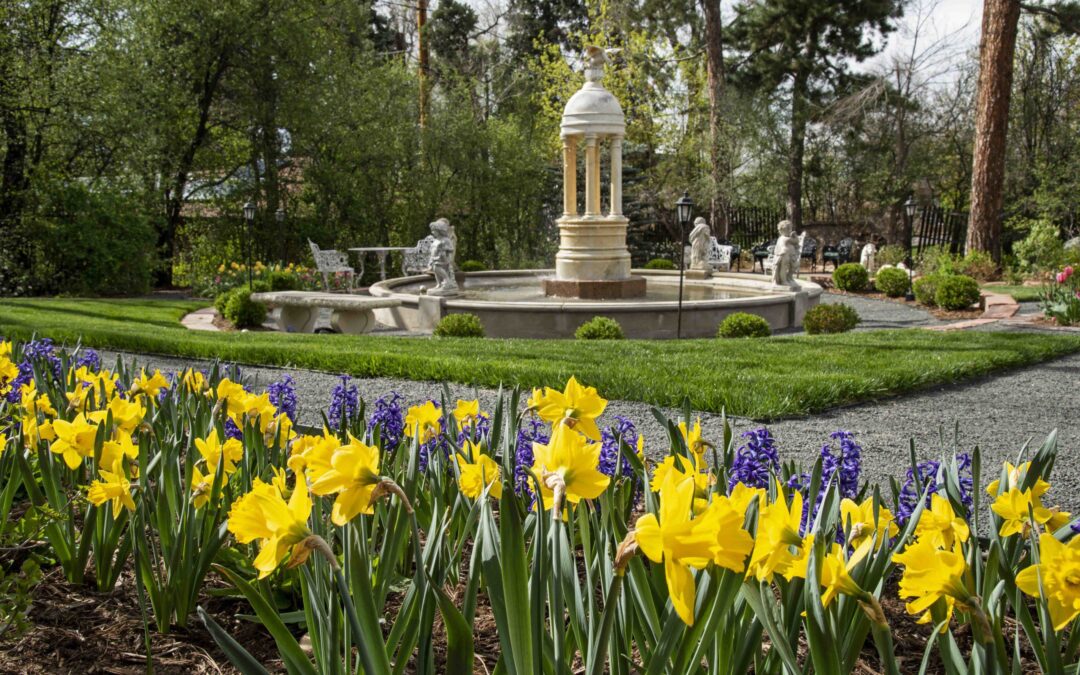 Spring for Bulbs