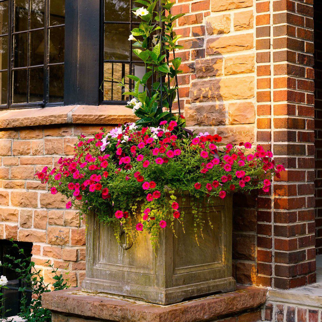 lifescape garden front door planter