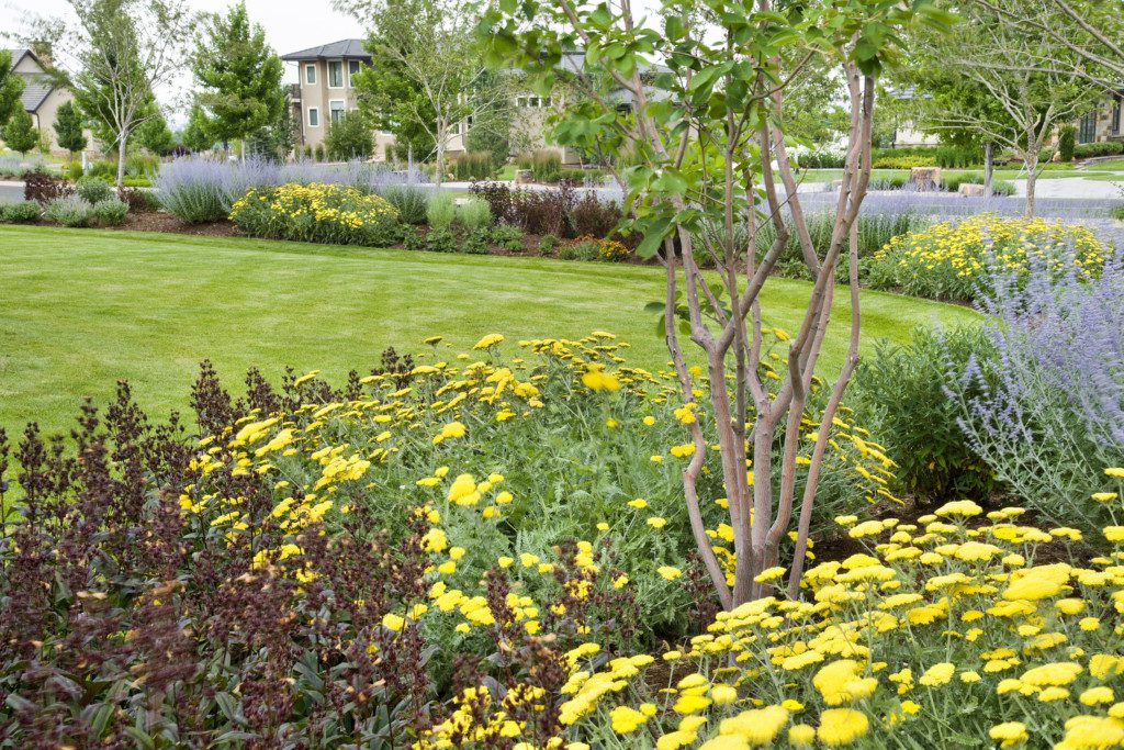 landscape home and garden