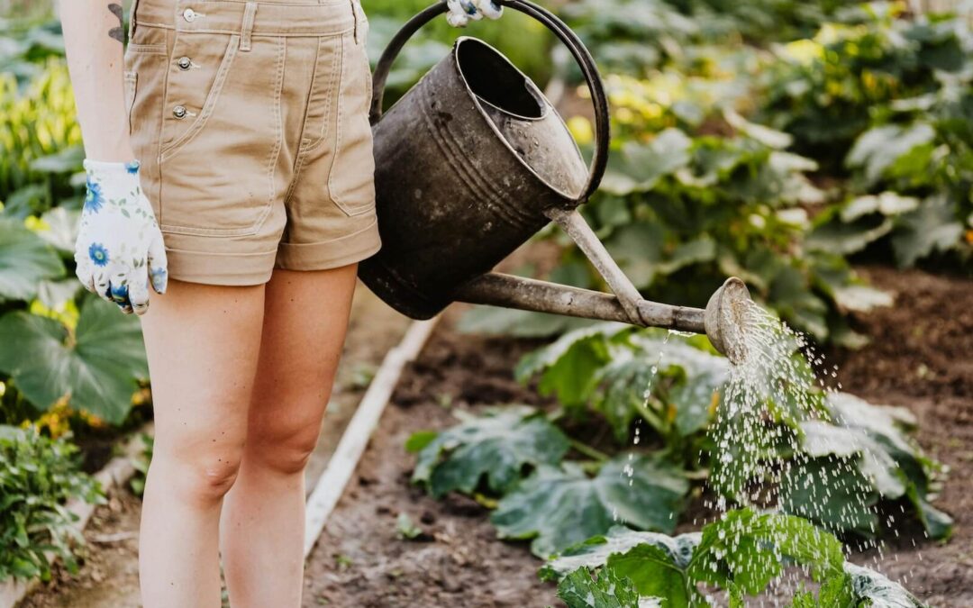 The Hidden Oasis: How Urban Gardens Foster Mental Health and Well-Being