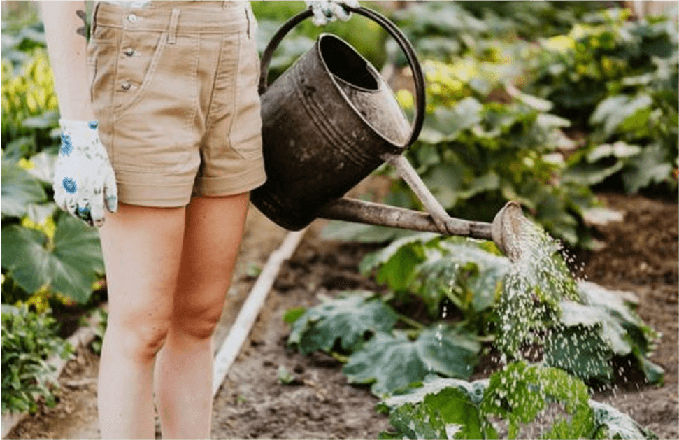 landscaping tips 2