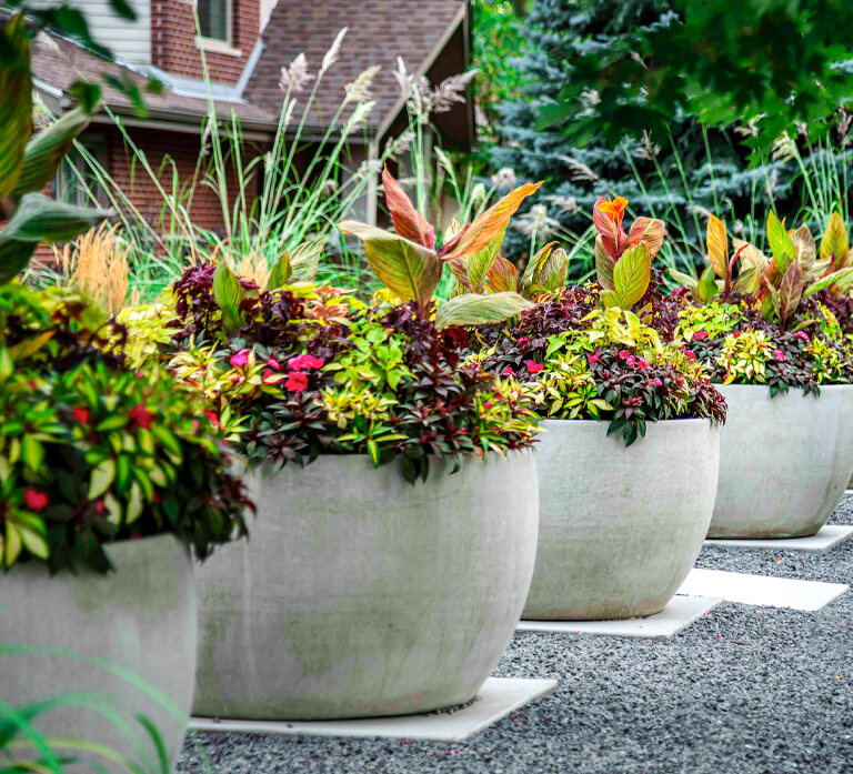 landscape-enhancements landscape enhancements