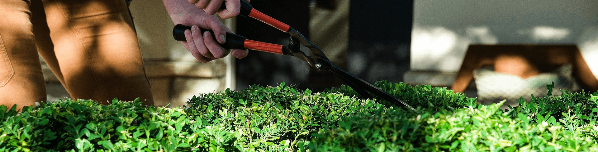 landscape-jobs landscape jobs