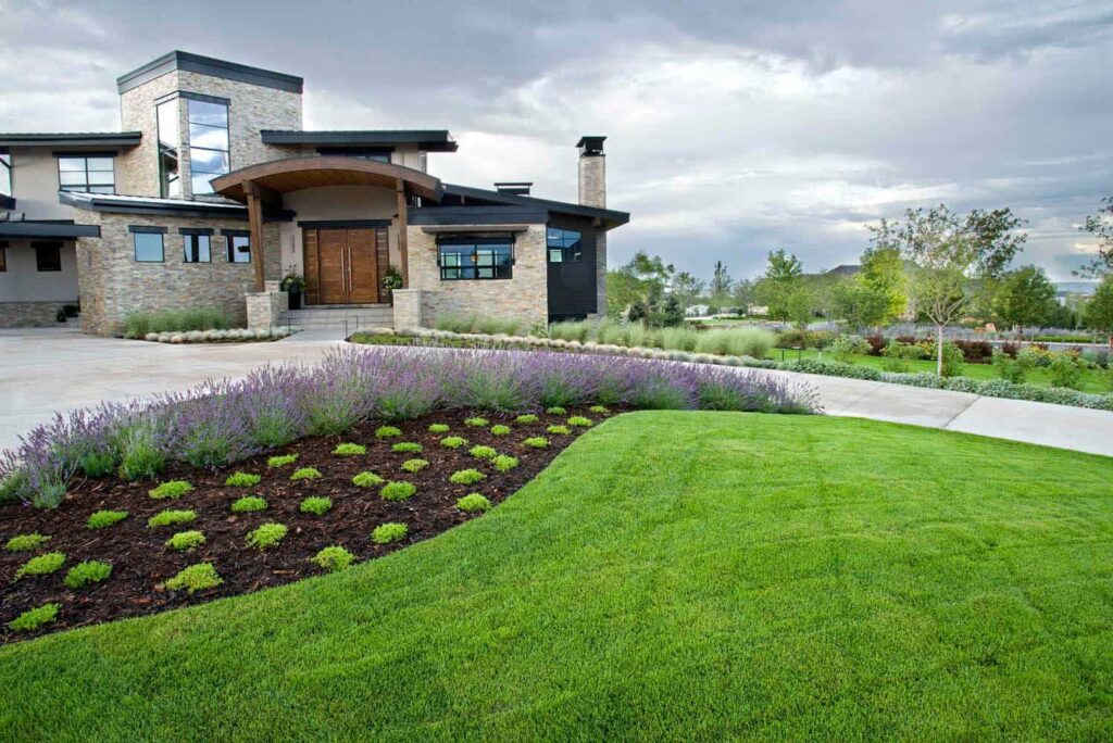 best-native-plant-selection-front-yard-luxury-home best native plant selection front yard luxury home