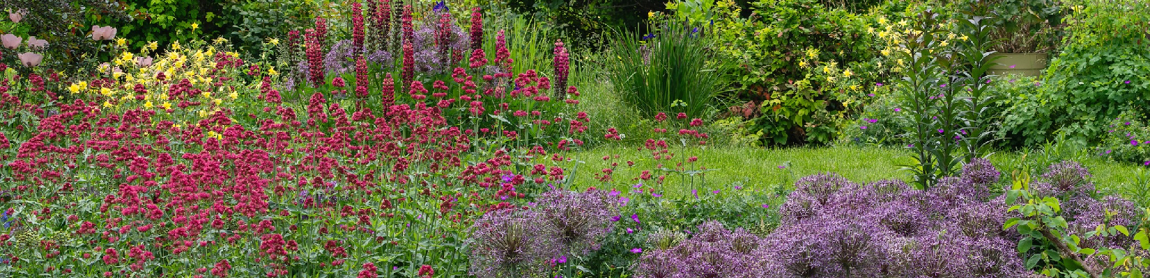 lifescape-colorado-history (1) lifescape colorado history