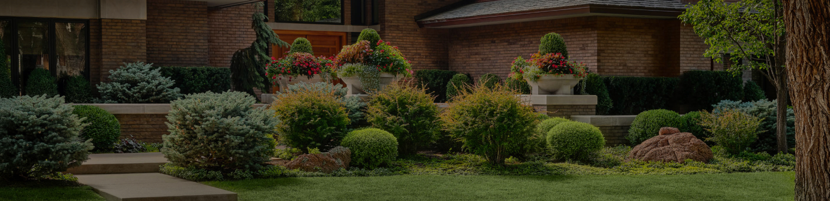 lifescape-colorado-services lifescape colorado services