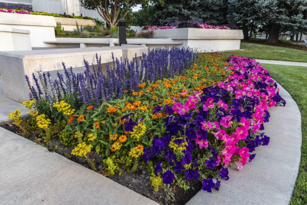 low maintenance planting design commercial spiritual center