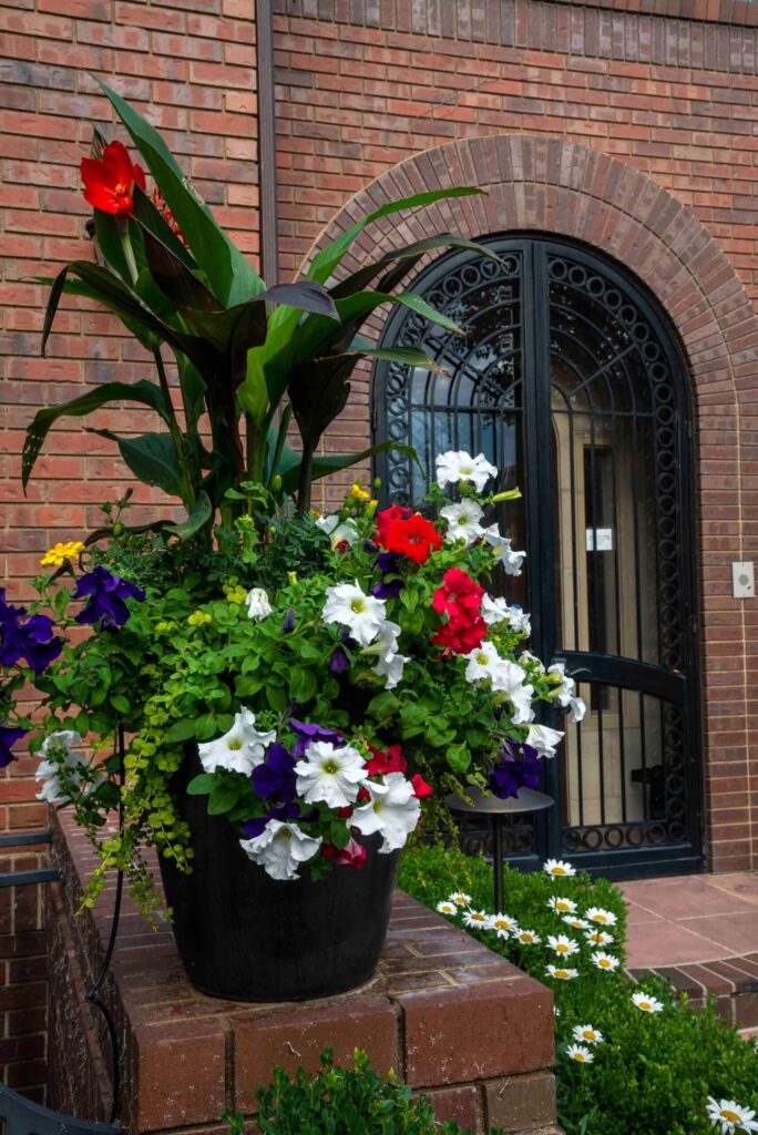 manicured hedges and lush garden maintenance services