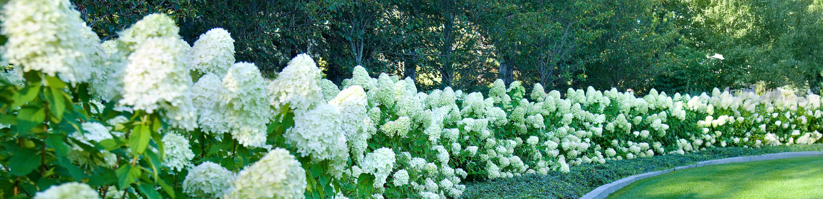 property care and maintenance property care and maintenance