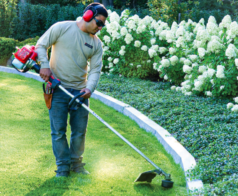 why-use-lifescape why use lifescape