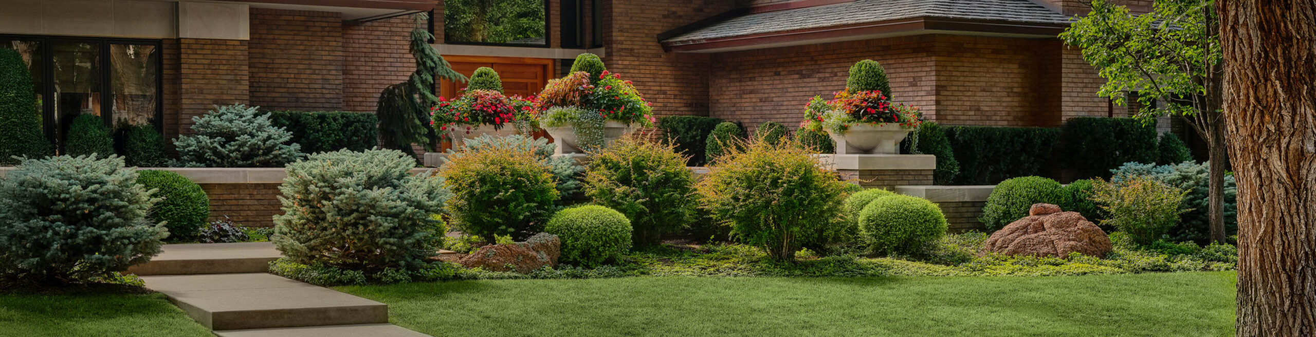 Lifescape Residential Lawn