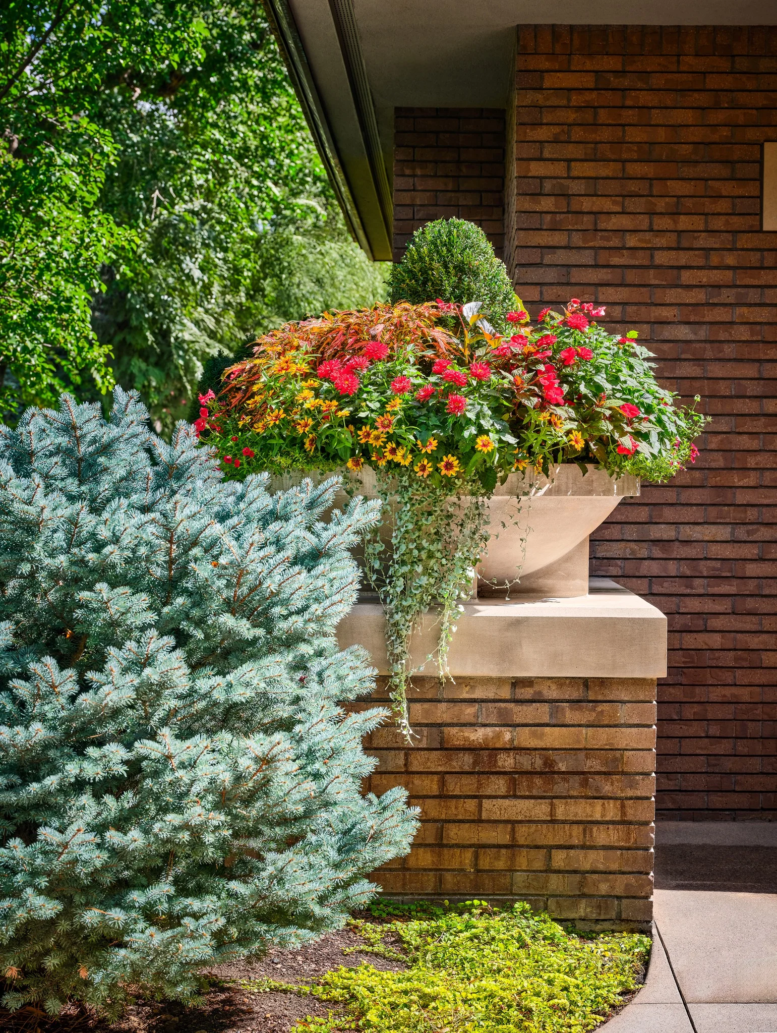 Seasonal landscape maintenance in Colorado with colorful flowers, evergreen shrubs, and a residential brick home