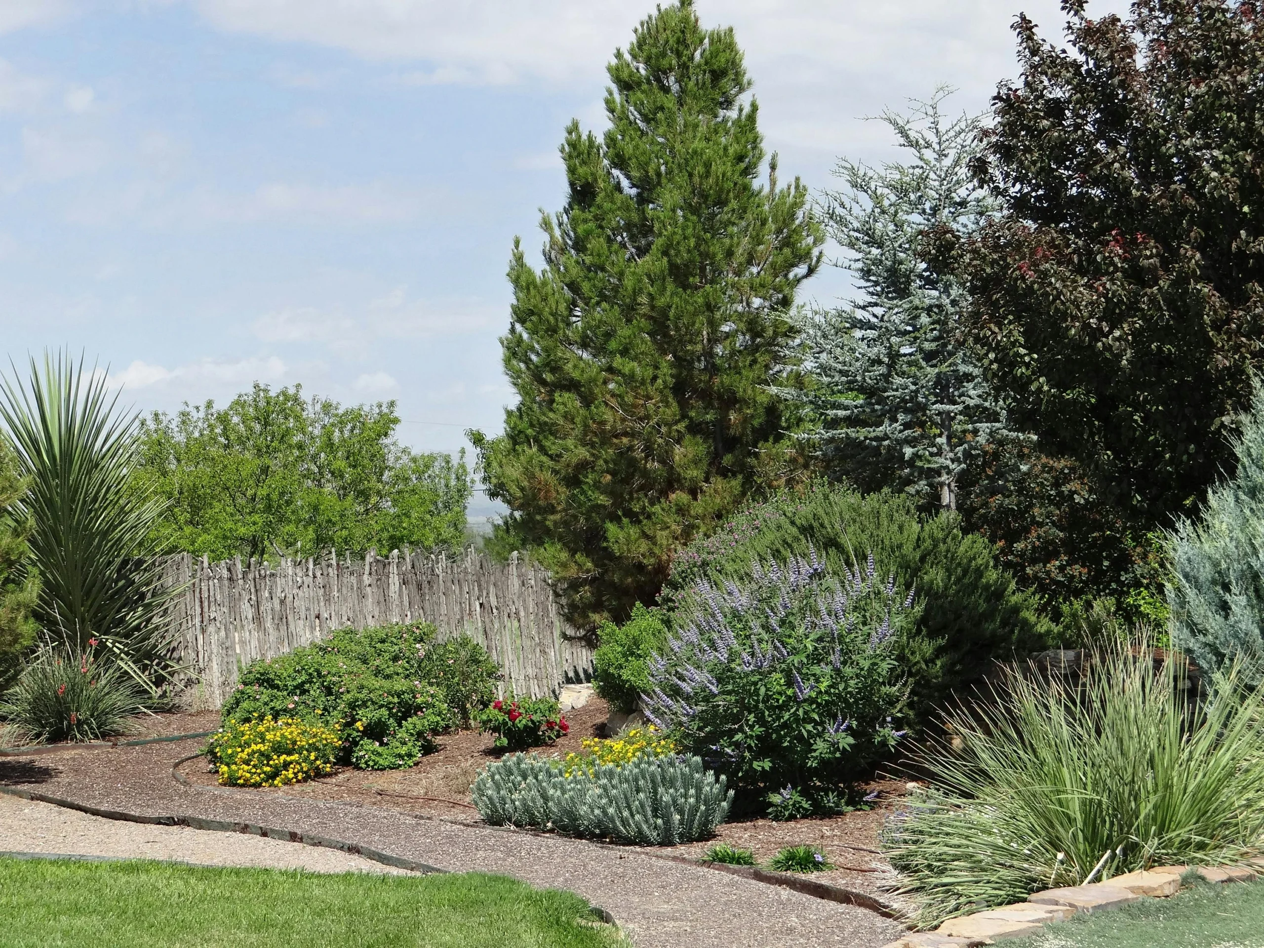 A Home With Plants and things from Denver, CO